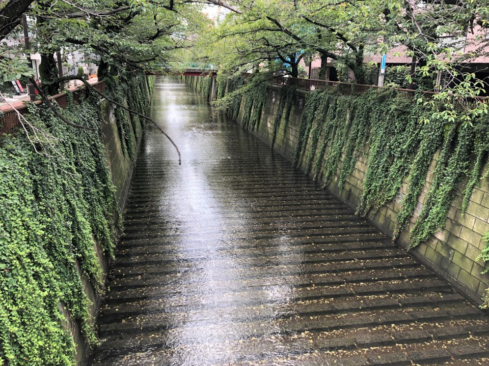 心も体も。。。の画像